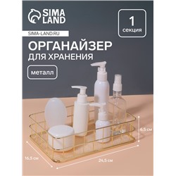 Органайзер для хранения косметических принадлежностей «РАФАЭЛЬ», 24,5 × 16,5 × 6,5 см, цвет золотистый