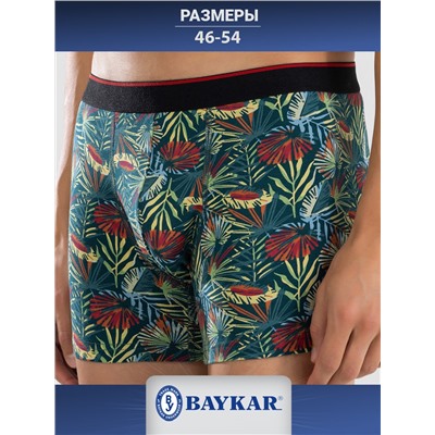 1414-382 Боксеры мужские (BAYKAR)
