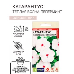 Семена цветов Катарантус "Теплая волна", пеперминт, 5 шт