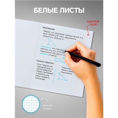 Набор тетрадей, 96 листов в клетку Calligrata «Макро», 4 штуки