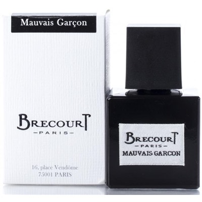 BRECOURT MAUVAIS GARSON edp (m) 100ml TESTER