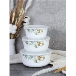 Салатник с крышкой 3 предмета / GRAY-HDW3B (7364) /уп 12/ Графические цветы