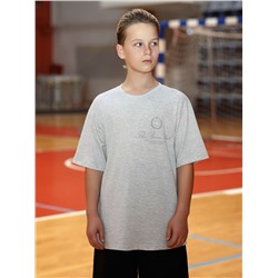 Фуфайка (футболка) для мальчика Успех-8.1