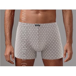 Трусы мужские GS028 Gentlemen шорты