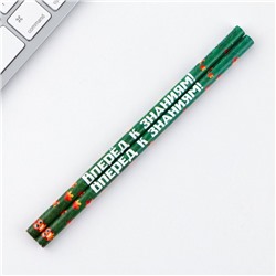 Подарочный набор, ластики 2 шт., карандаши HB 2 шт., блокнот А7 «Выпускной: Вперёд к знаниям!»