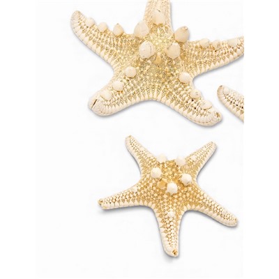 Набор из 3 морских звезд, размер 5-7 см, 7-10 см, 10-12 см, белый