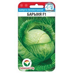 Капуста б/к Барыня F1 (Код: 91112)