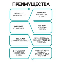 Диатомит «Рецепты Дедушки Никиты» сушеный, фр 2-4, 3 л