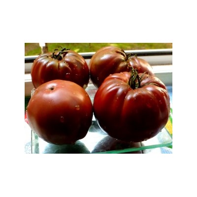 Помидоры Blue Fruit (10 сенян)