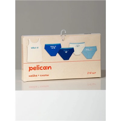 PELICAN Комплект GUAVL3310(4+1)