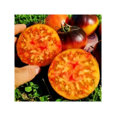Помидоры Любовное Наслаждение от Близости при Свете Дня — Afternoon Delight Tomato (10 семян)