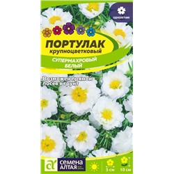 В НАЛИЧИИ. Портулак Супермахровый Белый/Сем Алт/цп 0,1 гр.