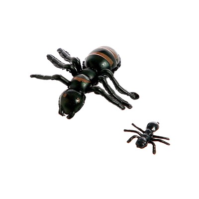Набор насекомых «Муравьи»