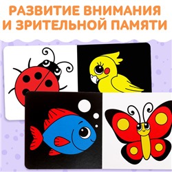 Книги картонные «Контрастные и чёрно-белые картинки для новорожденных», набор 3 шт. по 10 стр.