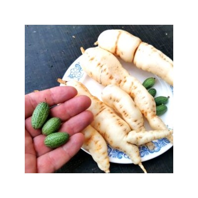 Кукамелон — Мексиканский Огурчик — Cucamelon (10 семян)