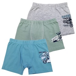 3376 Боксеры для мальчика многоцвет (BAYKAR)