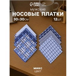 Платки носовые мужские «Этель», 30×30 см, набор 12 шт., 100% хлопок, синие, рисунок МИКС