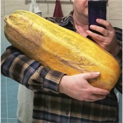Кабачок Марроу Выставочный Гигант — Marrow Exhibition Giant (5 семян)