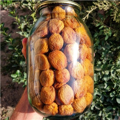 Урюк в банке натуральный