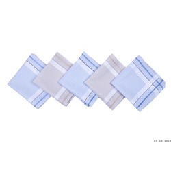 Носовые платки (30*30 см, 12 шт.) 086