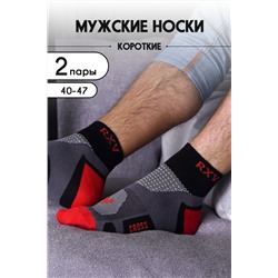 Носки мужские Арена комплект 2 пары