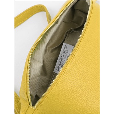 fo1529 dollaro giallo