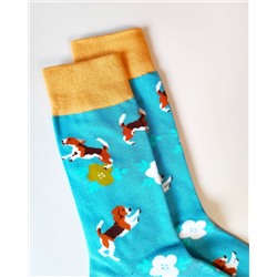 Носки р.35-40 "Dogs" Бигль