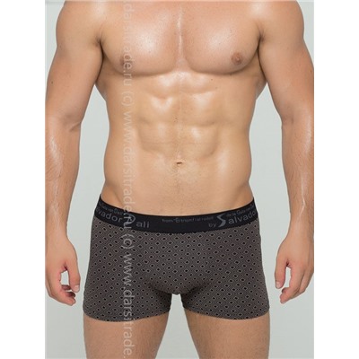 SD2017-1 Трусы мужские Дроп Salvador Dali боксеры