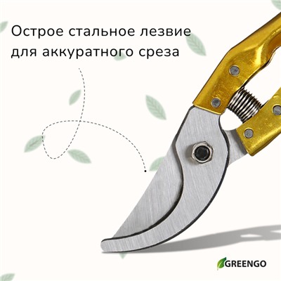 Секатор плоскостной, 8" (20 см), с металлическими ручками, с запасной пружиной, Greengo