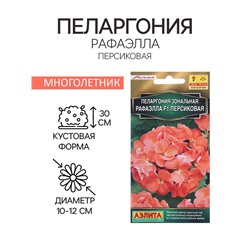 Семена цветов Пеларгония "Рафаэлла", персиковая, F1, 5 шт