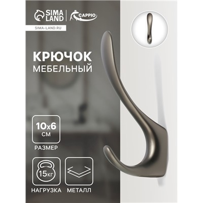 Крючок мебельный CAPPIO NOTE, двухрожковый, цвет графит
