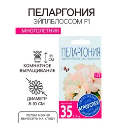 Семена комнатных цветов Пеларгония "Эйплблоссом", 4 шт.