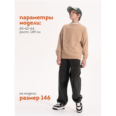 PELICAN Толстовка BFN3371/1