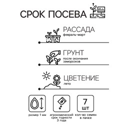 Семена цветов Катарантус "Тату Мандарин", 7 шт