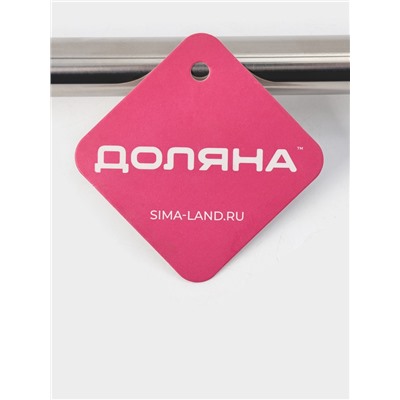 Ёршик для унитаза Доляна, силиконовый, 10×5×58 см, серый