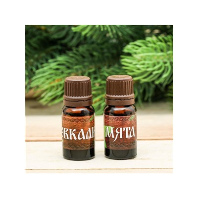 Новогодний набор эфирных масел «Крепкого здоровья в новом году!», эвкалипт, мята, 2 шт. по 10 мл