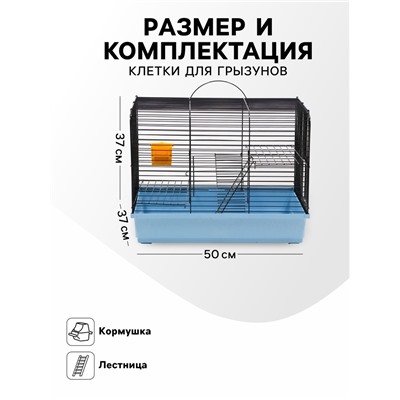 Клетка для грызунов «Сеня 2», 50×37×37 см, микс цветов