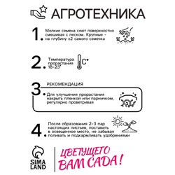 Семена цветов Бархатцы «Золотой великан», О, 0.1 г