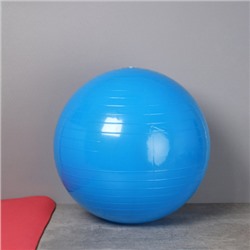 Мяч гимнастический 55см / FB55-BL / насос + игла / Синий / уп 40 шт