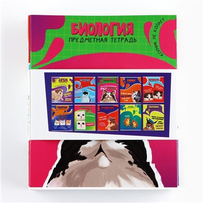 Тетради предметные, 36 л., набор из 10 шт., блок №1 «Мемы»