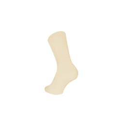 ESLI CLASSIC Носки мужские