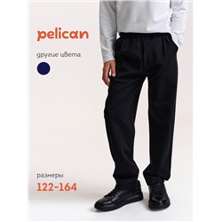 PELICAN Брюки BFPQ7045