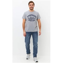 Футболка мужская с принтом F111-06b-586 серая