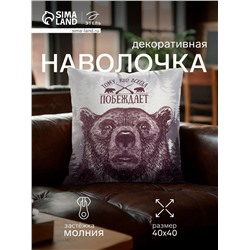 Наволочка декоративная «Этель. Победитель», 40×40 см, велюр