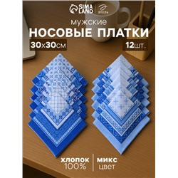 Платки носовые мужские «Этель» размер 30×30 см, набор 12 шт., рисунок МИКС, синие