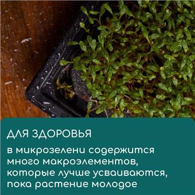 Коврик из кокосового волокна, для выращивания микрозелени, 50×25 см, Greengo