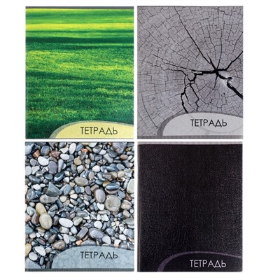 Комплект тетрадей из 4 штук, 96 листов в клетку Calligrata «Металл», обложка мелованный картон, блок офсет