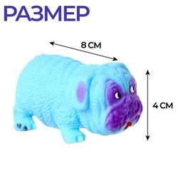 Мялка антистресс тянучка «Собака», с песком, в шоубоксе, МИКС