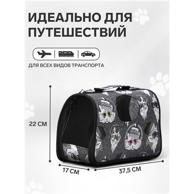 Сумка-переноска каркасная «Зимние коты», размер S, 37.5×17×22 см