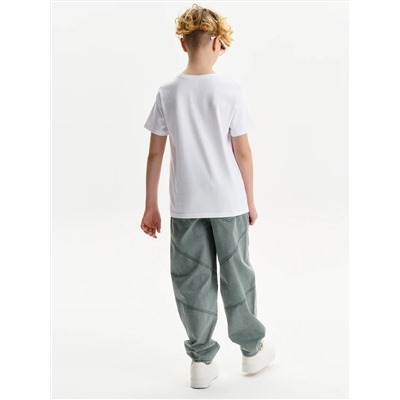 PELICAN Брюки BGPG3394/1